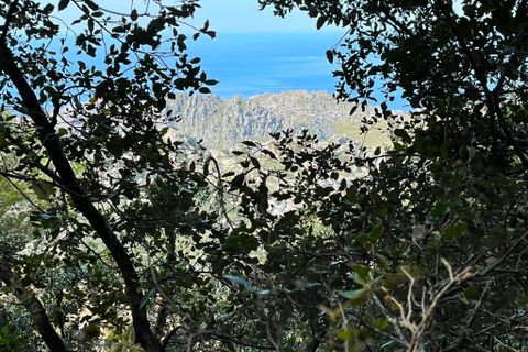 Landejendom i Escorca, Mallorca, Escorca - € 1.150.000 | Ref: 78781 - foto 4