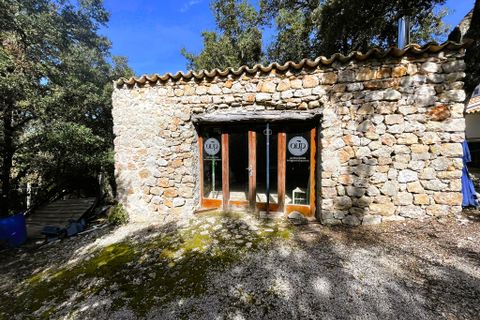 Landejendom i Escorca, Mallorca, Escorca - € 1.150.000 | Ref: 78781 - foto 14