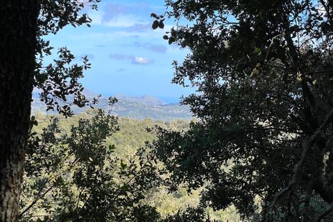 Landejendom i Escorca, Mallorca, Escorca - € 1.150.000 | Ref: 78781 - foto 17