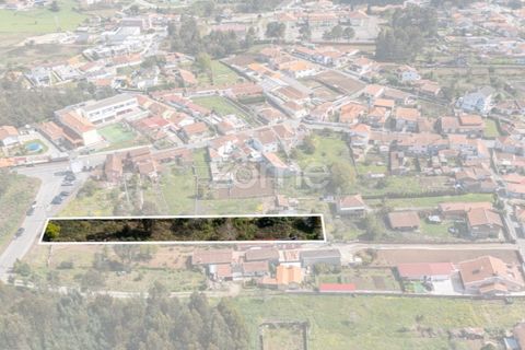 Terra a Argoncilhe, Aveiro, Argoncilhe - € 52.900 | Ref: ZMPT565053 - foto 7