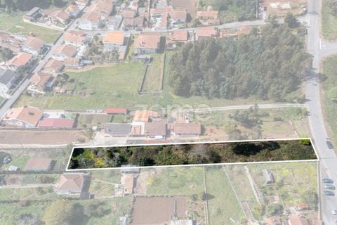 Terra a Argoncilhe, Aveiro, Argoncilhe - € 52.900 | Ref: ZMPT565053 - foto 2