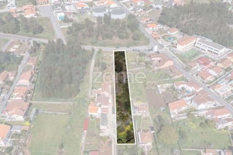 Terra a Argoncilhe, Aveiro, Argoncilhe - € 52.900 | Ref: ZMPT565053 - foto 4
