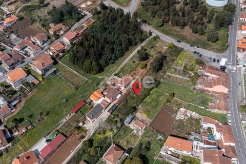 Terra a Argoncilhe, Aveiro, Argoncilhe - € 52.900 | Ref: ZMPT565053 - foto 5