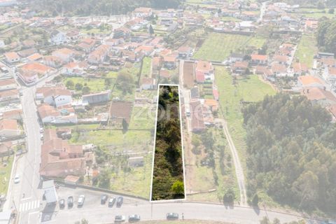 Terra a Argoncilhe, Aveiro, Argoncilhe - € 52.900 | Ref: ZMPT565053 - foto 10