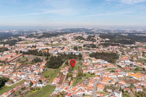 Terra a Argoncilhe, Aveiro, Argoncilhe - € 52.900 | Ref: ZMPT565053 - foto 15