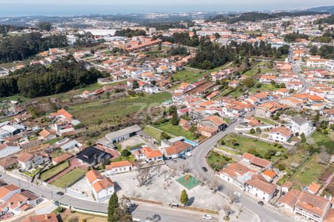 Terra a Argoncilhe, Aveiro, Argoncilhe - € 52.900 | Ref: ZMPT565053 - foto 23