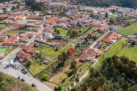 Terra a Argoncilhe, Aveiro, Argoncilhe - € 52.900 | Ref: ZMPT565053 - foto 9