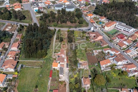 Terra a Argoncilhe, Aveiro, Argoncilhe - € 52.900 | Ref: ZMPT565053 - foto 6