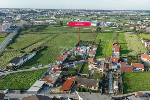 Villa i Ovar, Aveiro, Ovar - € 599.000 | Ref: ZMPT565056 - foto 45