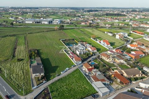 Villa i Ovar, Aveiro, Ovar - € 599.000 | Ref: ZMPT565056 - foto 49