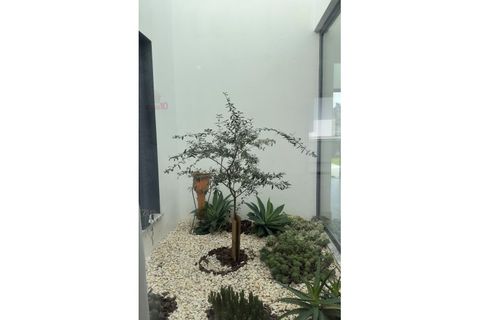 Villa i Beja, Beja, Beja - € 549.500 | Ref: CAS_2800 - foto 12