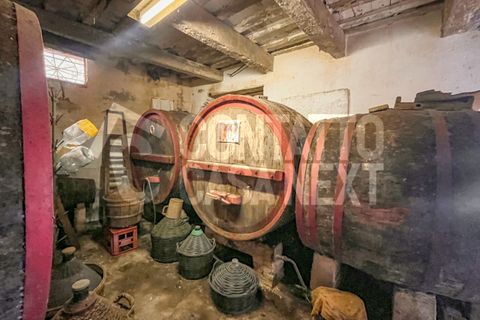 Villa i Monte Roberto, Ancona, Monte Roberto - € 65.000 | Ref: 2889 - foto 3