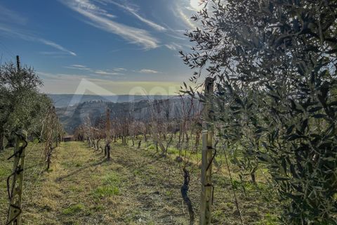 Erhvervsejendom i Monte Roberto, Ancona, Monte Roberto - € 60.000 | Ref: 2890 - foto 1