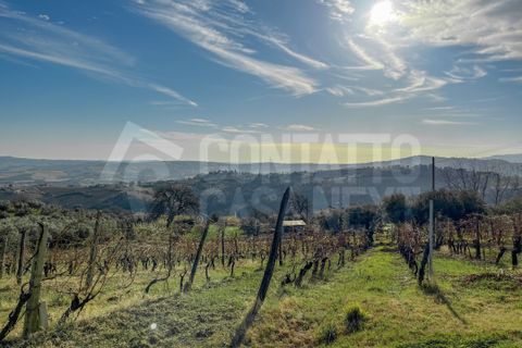 Erhvervsejendom i Monte Roberto, Ancona, Monte Roberto - € 60.000 | Ref: 2890 - foto 2