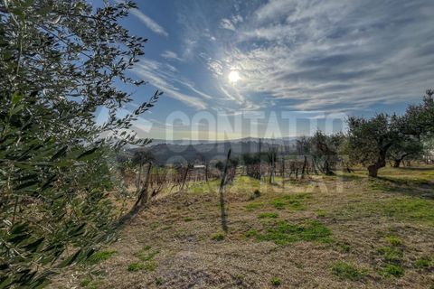 Erhvervsejendom i Monte Roberto, Ancona, Monte Roberto - € 60.000 | Ref: 2890 - foto 3