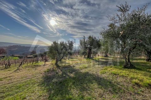 Erhvervsejendom i Monte Roberto, Ancona, Monte Roberto - € 60.000 | Ref: 2890 - foto 4