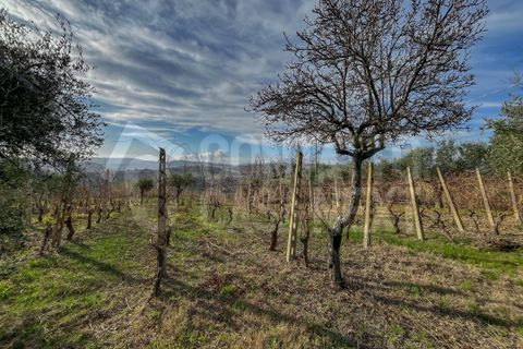 Erhvervsejendom i Monte Roberto, Ancona, Monte Roberto - € 60.000 | Ref: 2890 - foto 7