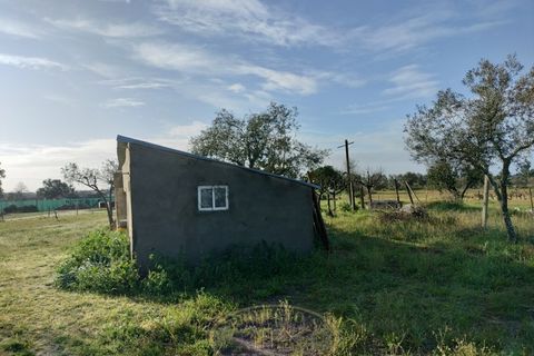 Grond in Coruche, Santarem, Coruche - € 195.000 | Ref: SÒL_120 - foto 5