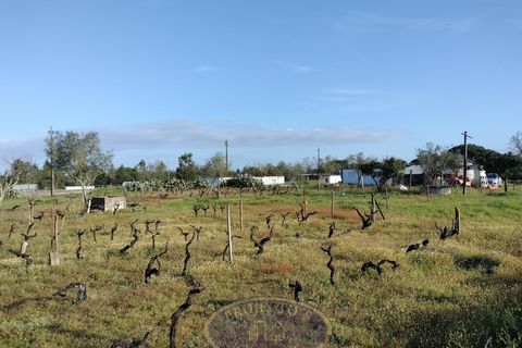 Grond in Coruche, Santarem, Coruche - € 195.000 | Ref: SÒL_120 - foto 7