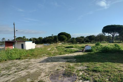Grond in Coruche, Santarem, Coruche - € 195.000 | Ref: SÒL_120 - foto 9