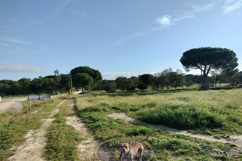 Grond in Coruche, Santarem, Coruche - € 195.000 | Ref: SÒL_120 - foto 10