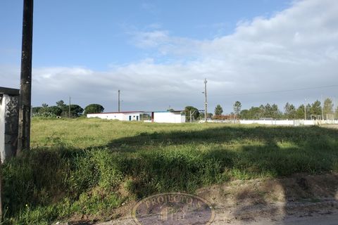 Grond in Coruche, Santarem, Coruche - € 195.000 | Ref: SÒL_120 - foto 11