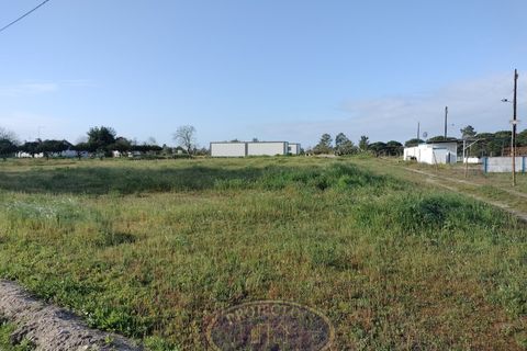 Grond in Coruche, Santarem, Coruche - € 195.000 | Ref: SÒL_120 - foto 12