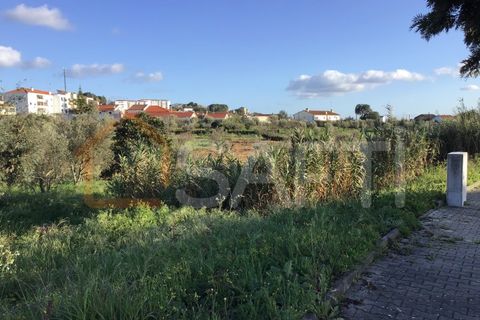 Helårsgrund i Macao, Santarem, Macao - € 25.000 | Ref: SAFTI:004730 - foto 2