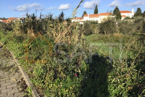 Helårsgrund i Macao, Santarem, Macao - € 25.000 | Ref: SAFTI:004730 - foto 8