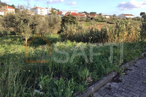 Helårsgrund i Macao, Santarem, Macao - € 25.000 | Ref: SAFTI:004730 - foto 9
