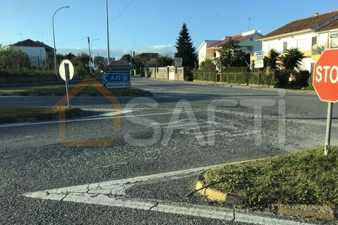 Helårsgrund i Macao, Santarem, Macao - € 25.000 | Ref: SAFTI:004730 - foto 15