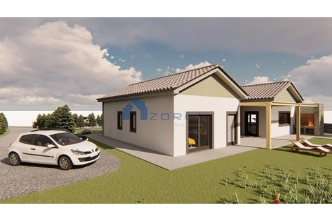 Terra a Santo Amaro, Pico, Santo Amaro - € 210.000 | Ref: AZO1-0184 - foto 5