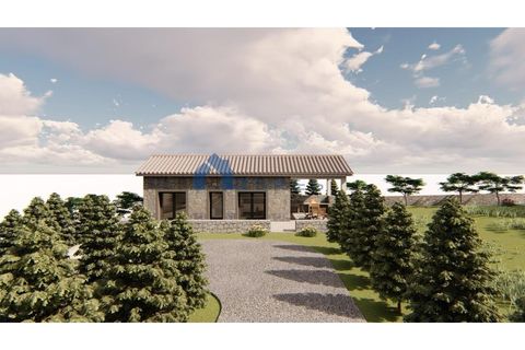Terra a Santo Amaro, Pico, Santo Amaro - € 210.000 | Ref: AZO1-0184 - foto 11