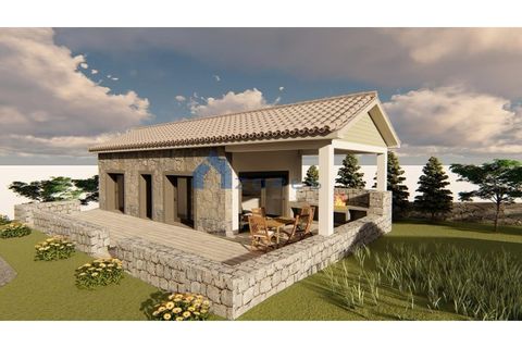 Terra a Santo Amaro, Pico, Santo Amaro - € 210.000 | Ref: AZO1-0184 - foto 12