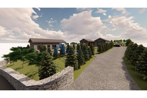 Terra a Santo Amaro, Pico, Santo Amaro - € 210.000 | Ref: AZO1-0184 - foto 13