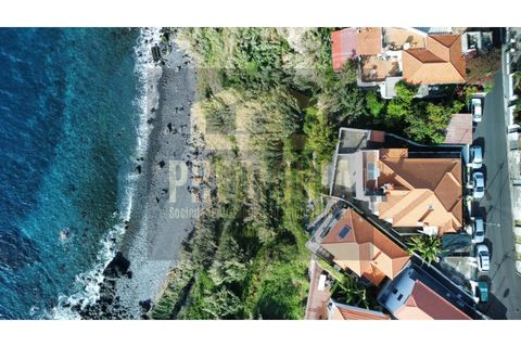 Villa i Funchal, Madeira, Funchal - € 1.600.000 | Ref: HAB_743 - foto 4