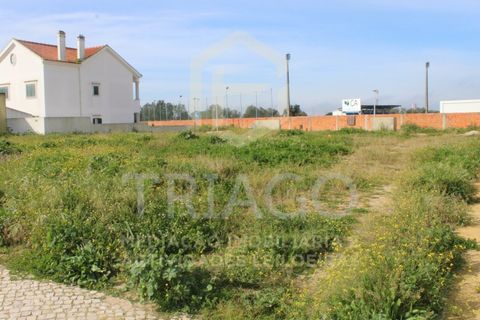 Grond in Benavente, Santarem, Benavente - € 77.500 | Ref: TER_698 - foto 1