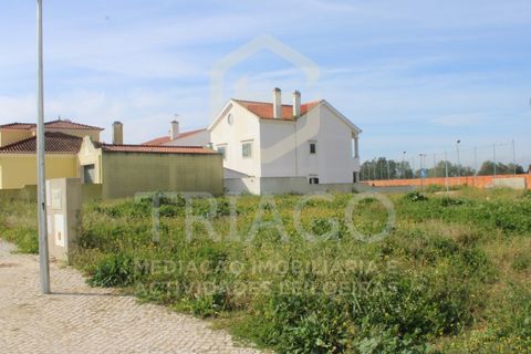 Grond in Benavente, Santarem, Benavente - € 77.500 | Ref: TER_698 - foto 2