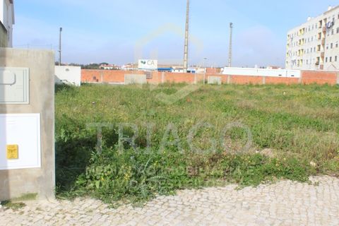 Grond in Benavente, Santarem, Benavente - € 77.500 | Ref: TER_698 - foto 4