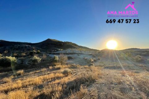 Landejendom i Lorca, Murcia, Lorca - € 215.000 | Ref: MAS0026 - foto 6