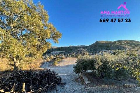 Landejendom i Lorca, Murcia, Lorca - € 215.000 | Ref: MAS0026 - foto 9