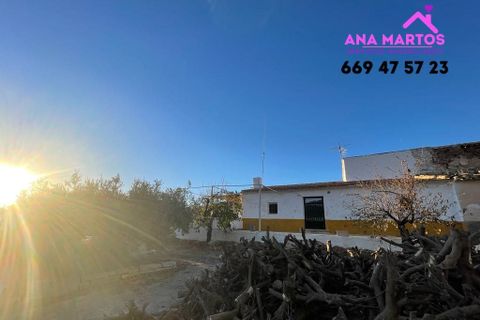 Landejendom i Lorca, Murcia, Lorca - € 215.000 | Ref: MAS0026 - foto 12