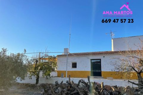 Landejendom i Lorca, Murcia, Lorca - € 215.000 | Ref: MAS0026 - foto 13