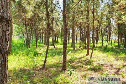 Helårsgrund i Viana do Castelo, Viana do Castelo, Viana do Castelo - € 115.000 | Ref: 2081 - foto 1