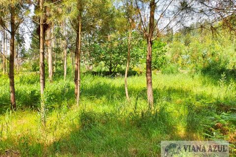 Helårsgrund i Viana do Castelo, Viana do Castelo, Viana do Castelo - € 115.000 | Ref: 2081 - foto 2