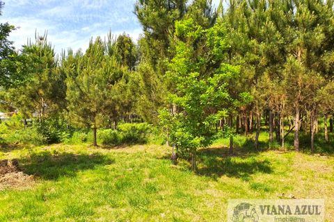 Helårsgrund i Viana do Castelo, Viana do Castelo, Viana do Castelo - € 115.000 | Ref: 2081 - foto 4