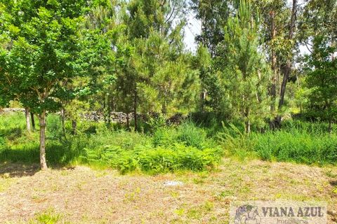 Helårsgrund i Viana do Castelo, Viana do Castelo, Viana do Castelo - € 115.000 | Ref: 2081 - foto 6