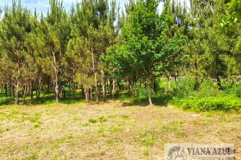 Helårsgrund i Viana do Castelo, Viana do Castelo, Viana do Castelo - € 115.000 | Ref: 2081 - foto 7