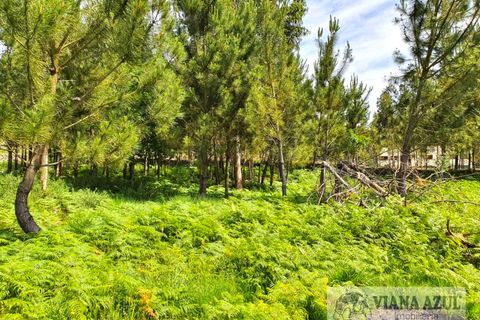 Helårsgrund i Viana do Castelo, Viana do Castelo, Viana do Castelo - € 115.000 | Ref: 2081 - foto 9