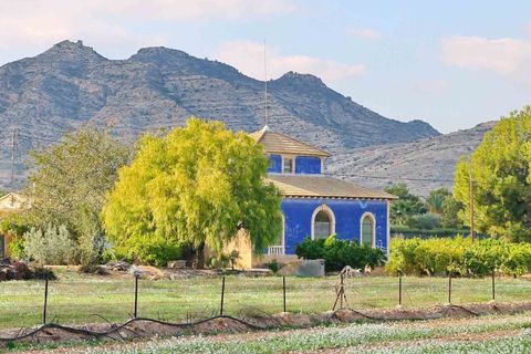 Villa i Aspe, Alicante, Aspe - € 475.000 | Ref: CLDJ-40617 - foto 3